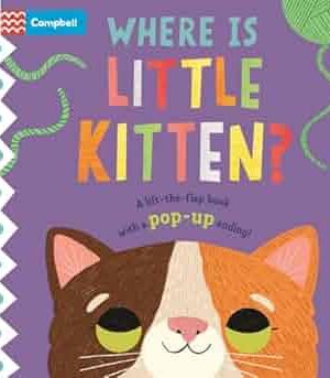 Where is Little Bunny?: The lift-the-flap book with a pop-up ending!
