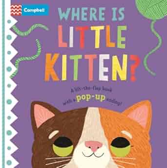 Where is Little Bunny?: The lift-the-flap book with a pop-up ending!