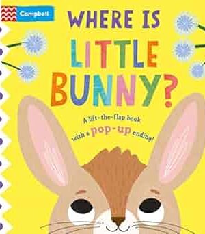 Where is Little Bunny?: The lift-the-flap book with a pop-up ending!