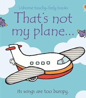 That's Not My Plane
