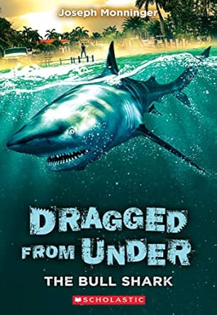 The Bull Shark
