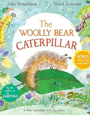The Woolly Bear Caterpillar