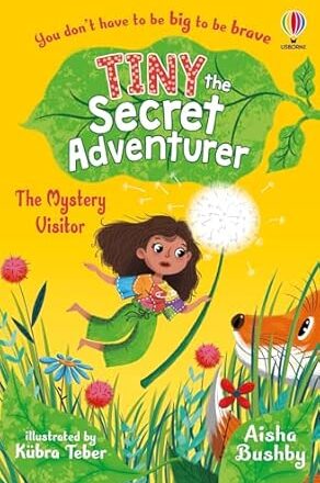Tiny the Secret Adventurer: The Mystery Visitor