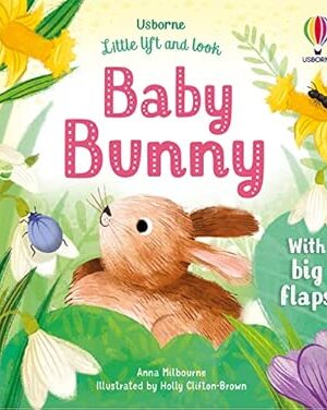 Little Lift and Look Baby Bunny